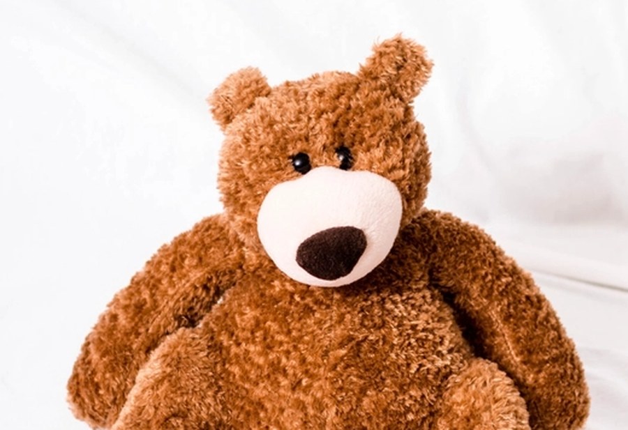 Cuddly plush teddy bear
