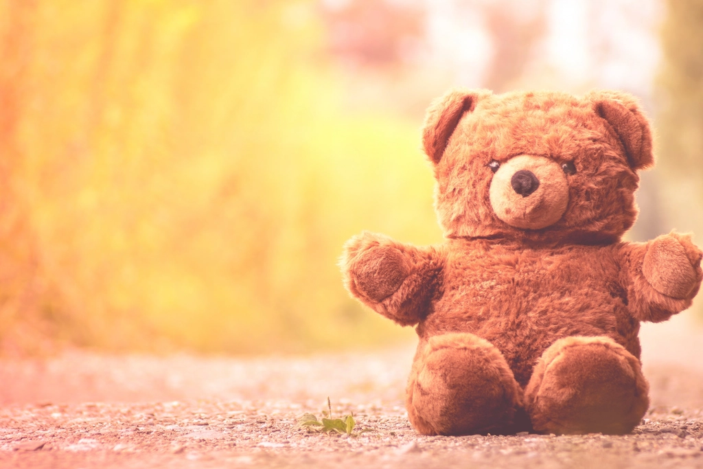 Soft plush teddy bear